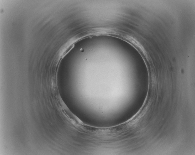 X0000073711481200608031227