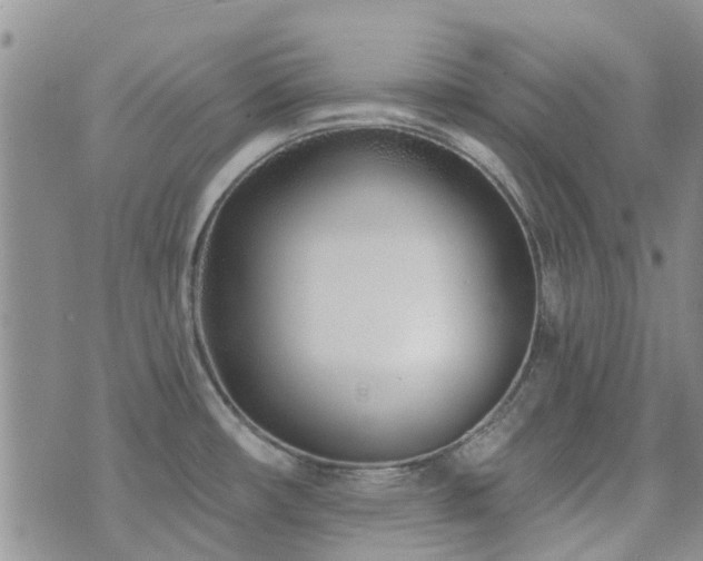 X0000073711482200608031227