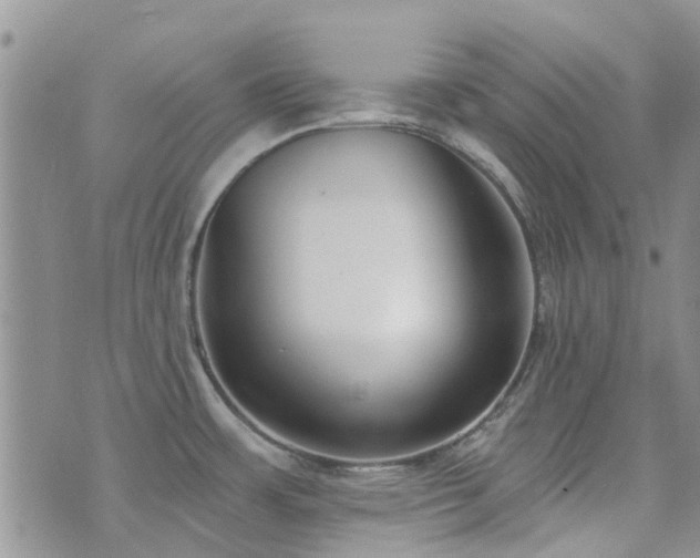 X0000073711483200608031227