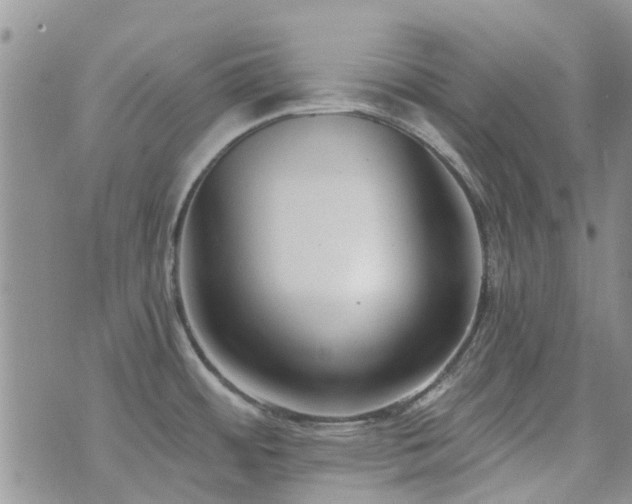 X0000073711484200608031227