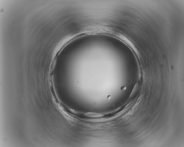 X0000073711485200608031227