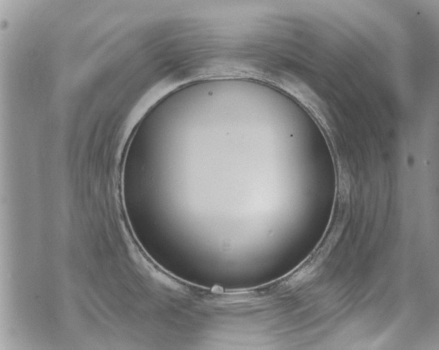 X0000073711486200608031227