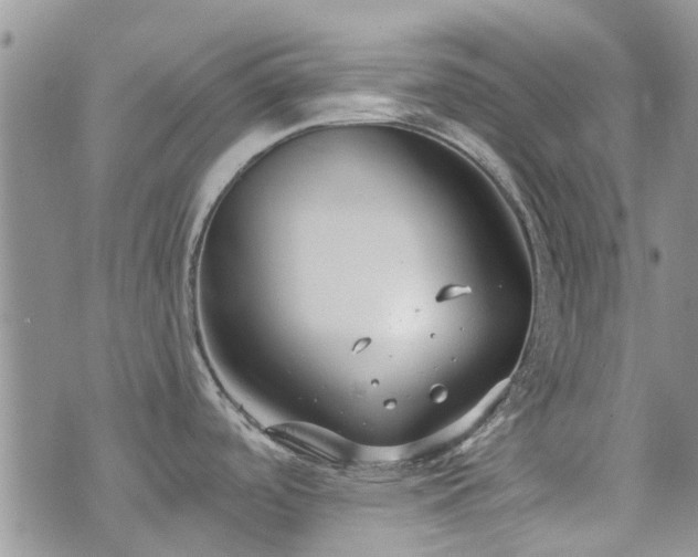 X0000073711488200608031227