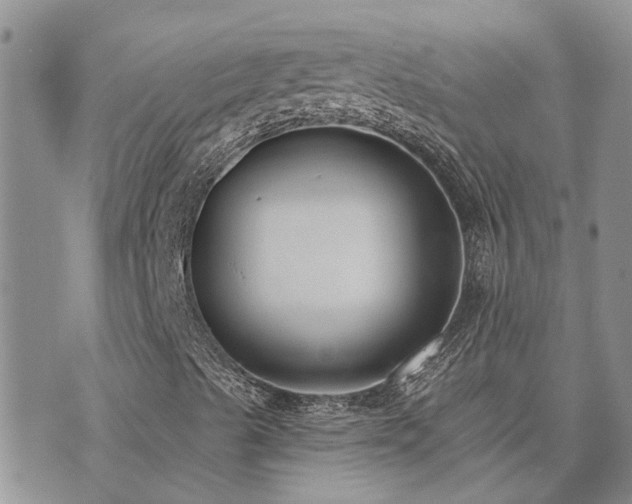 X0000073711489200608031226