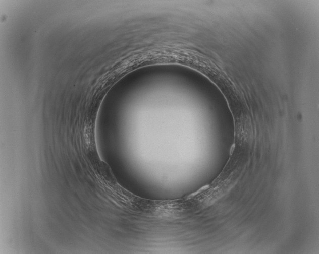 X0000073711490200608031226