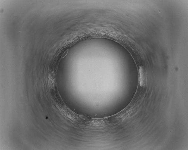 X0000073711491200608031226