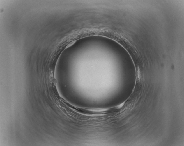 X0000073711492200608031226