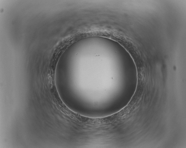 X0000073711493200608031226