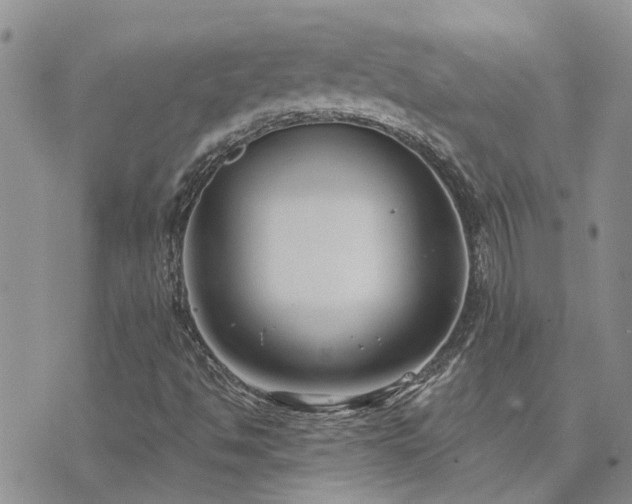 X0000073711494200608031226