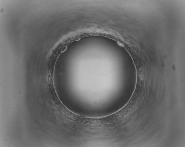 X0000073711495200608031226