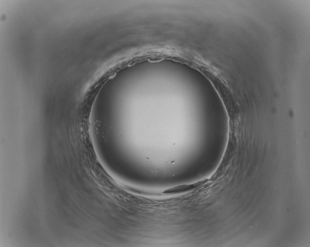 X0000073711496200608031226