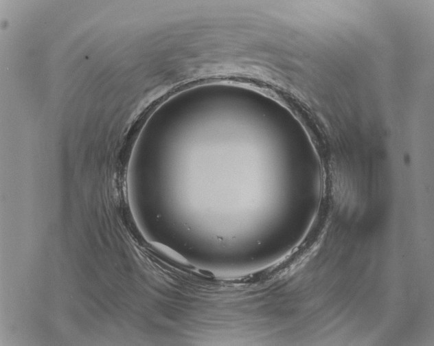 X0000073711497200608031226