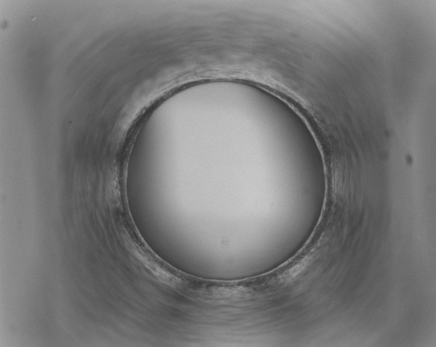 X0000073711498200608031226