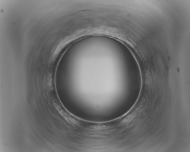 X0000073711499200608031226