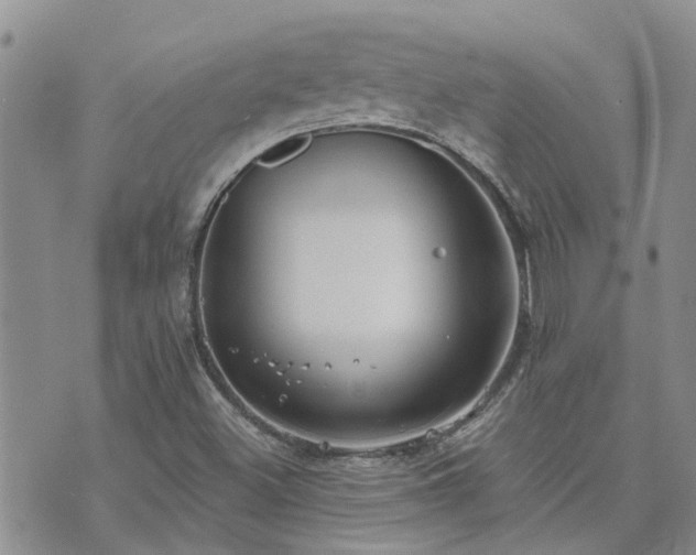 X0000073711500200608031226