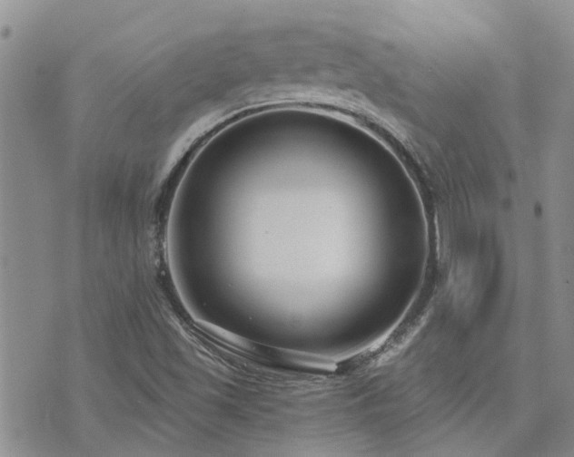 X0000073711501200608031226