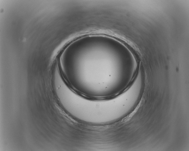 X0000073711502200608031226