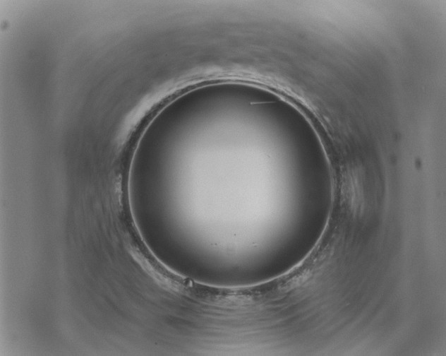 X0000073711503200608031226