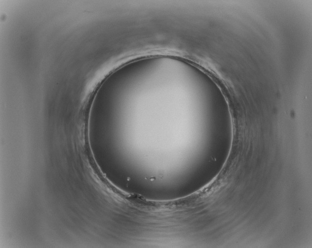 X0000073711504200608031226