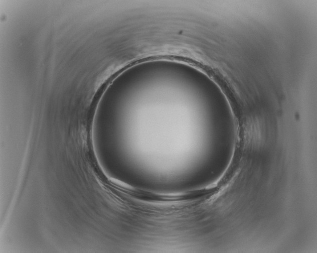 X0000073711505200608031226