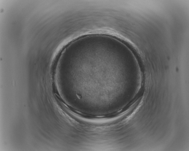 X0000073711506200608031226