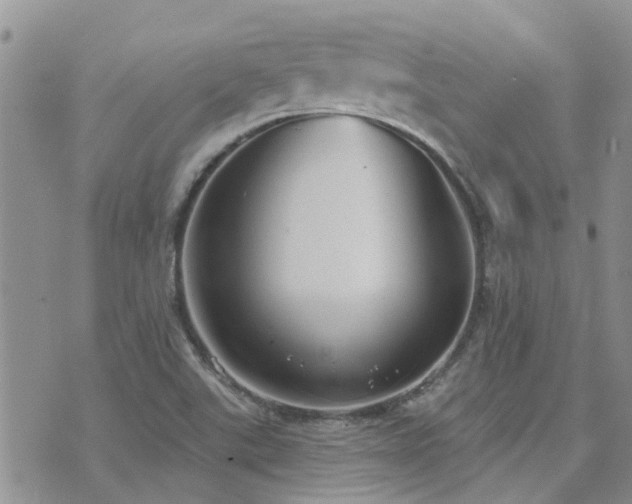 X0000073711507200608031226