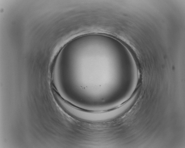 X0000073711508200608031226