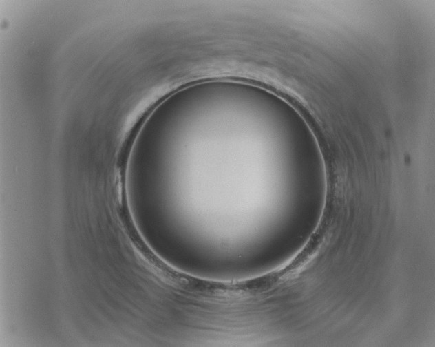 X0000073711509200608031226