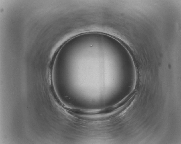 X0000073711510200608031226