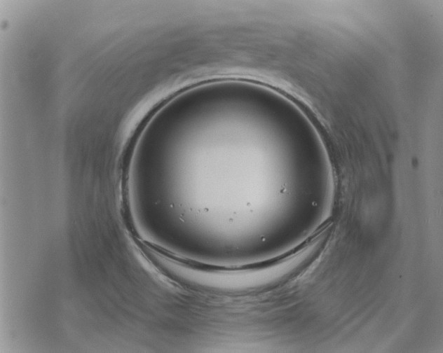 X0000073711511200608031226