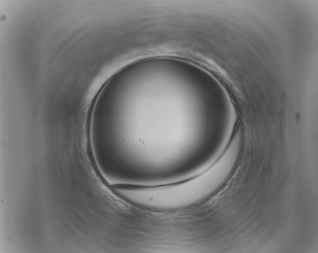 X0000073711512200608031226