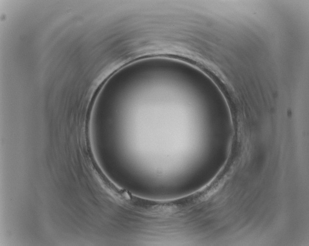 X0000073711513200608031226