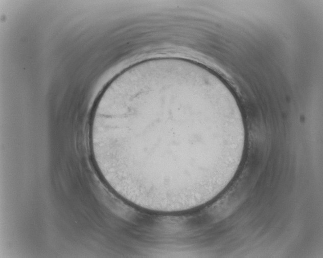 X0000073711514200608031226