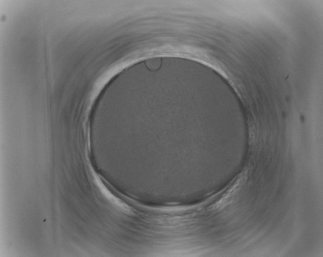 X0000073711515200608031226