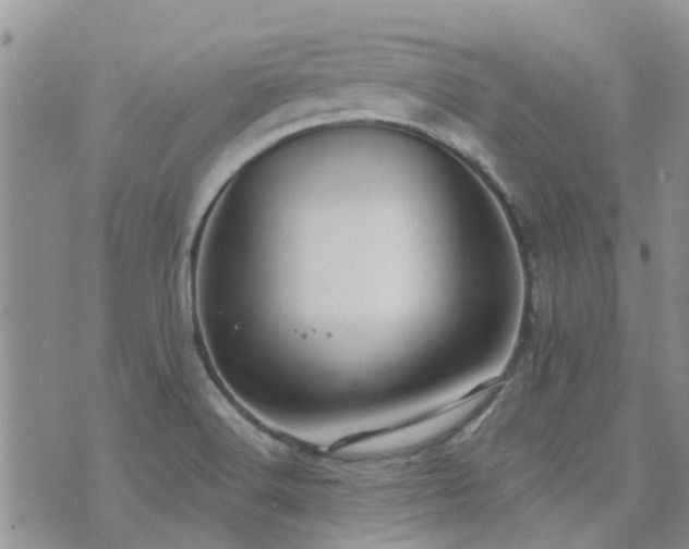 X0000073711516200608031226