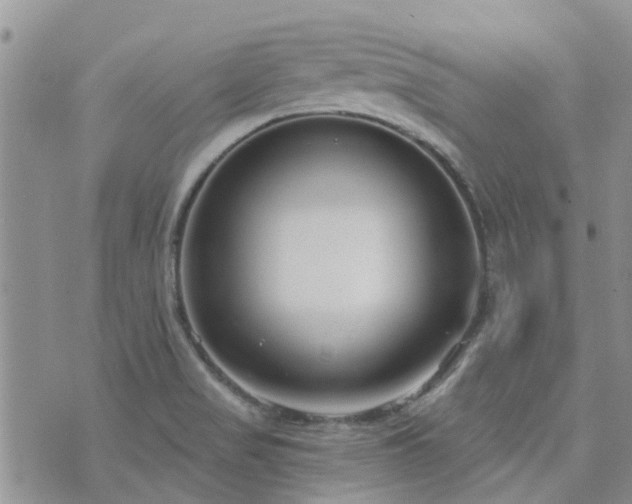 X0000073711517200608031226