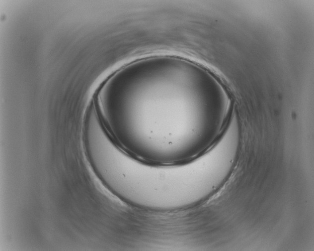 X0000073711518200608031227