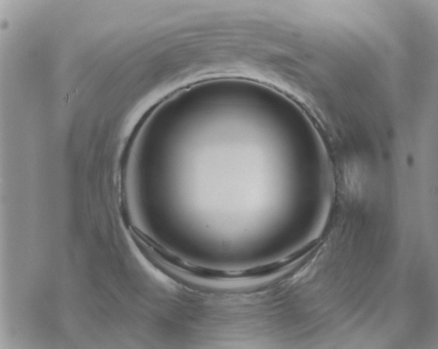 X0000073711519200608031227