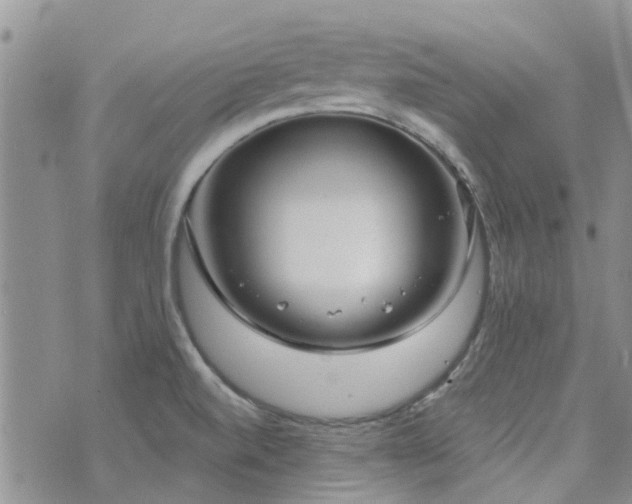 X0000073711520200608031227