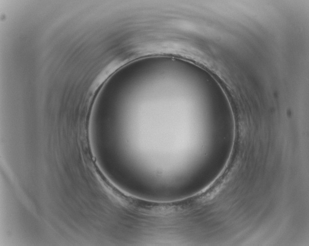 X0000073711521200608031227