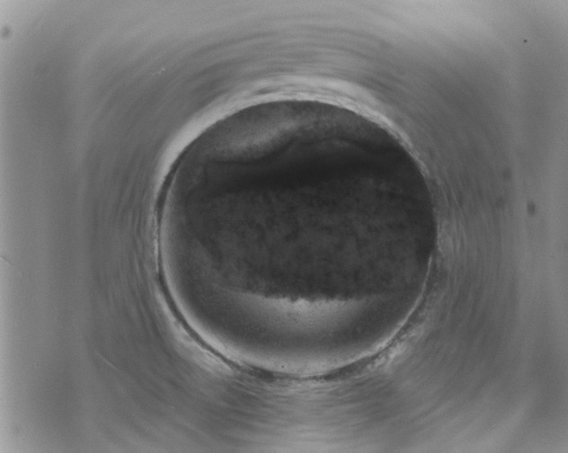 X0000073711522200608031227