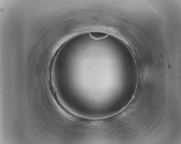 X0000073711523200608031227