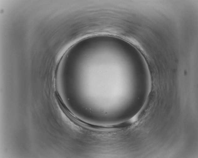 X0000073711524200608031227