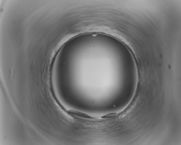 X0000073711525200608031227