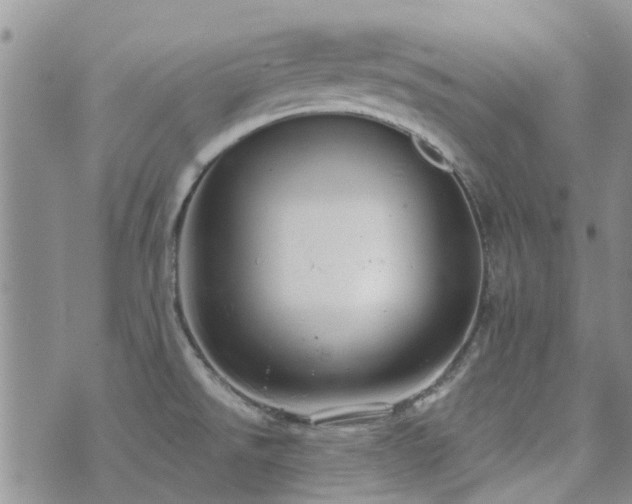 X0000073711526200608031227