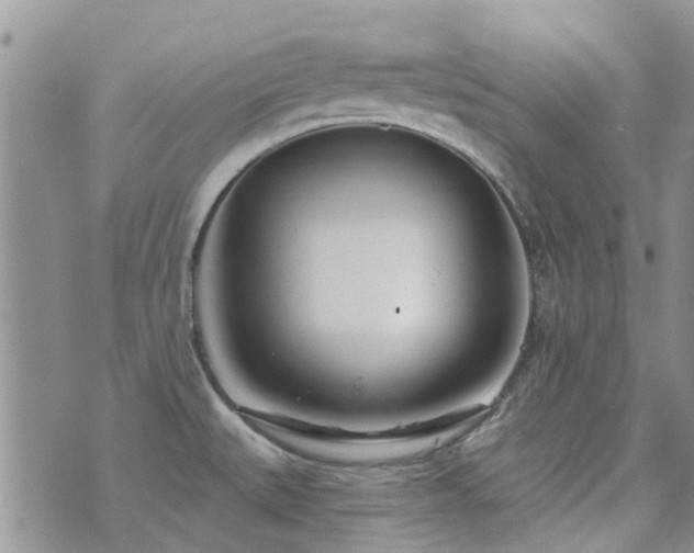 X0000073711527200608031227