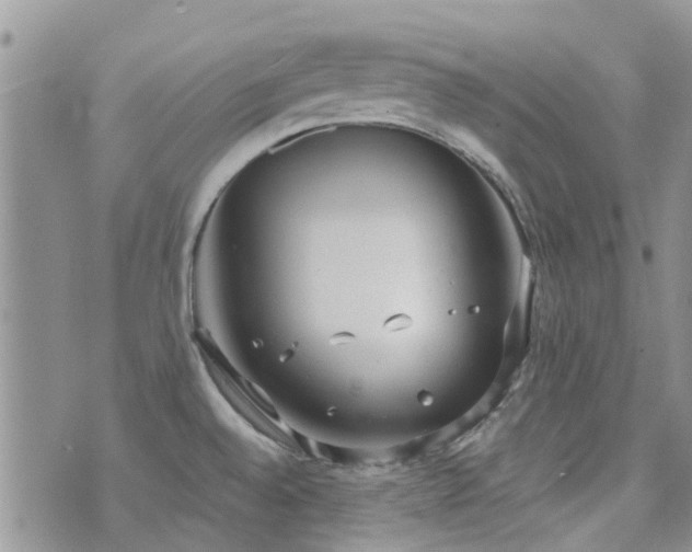 X0000073711528200608031227