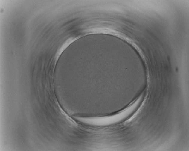 X0000073711529200608031227