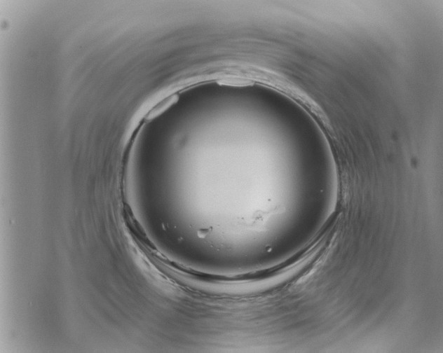 X0000073711530200608031227