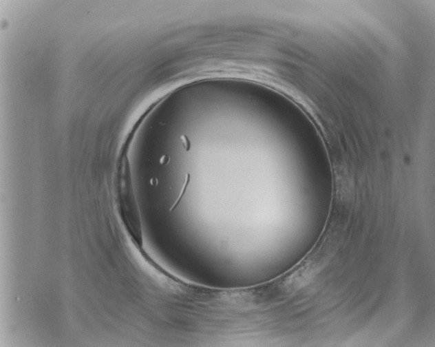 X0000073711531200608031227